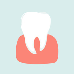 Healthy Tooth and Dental Care Illustration