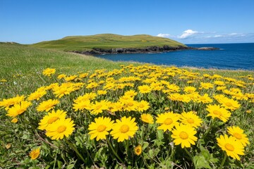 Fototapeta premium A remote peninsula covered in wildflowers, surrounded by deep blue waters