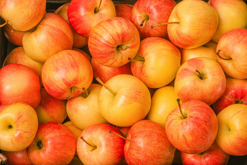 Red apples with yellow as background. Healthy food, apples.