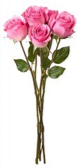 Obraz premium Four Light Pink Roses Bouquet on White Background