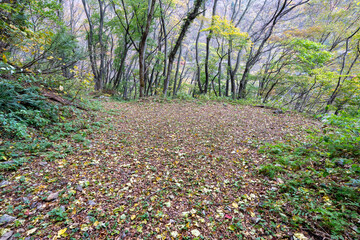 Historic old road &ldquo;Salt Road&rdquo; which is also a long distance hiking course and its surroundings