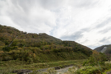 Historic old road “Salt Road” which is also a long distance hiking course and its surroundings