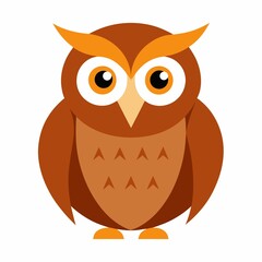 owl illustration on white background