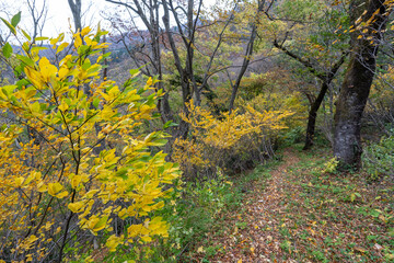 Historic old road “Salt Road” which is also a long distance hiking course and its surroundings