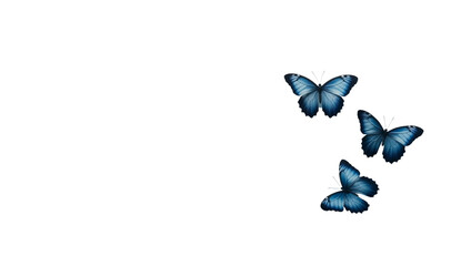 Blue butterfly flying on a white background.
