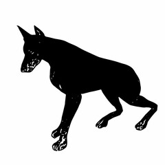 This image is animal ilustration design of Doberman dog