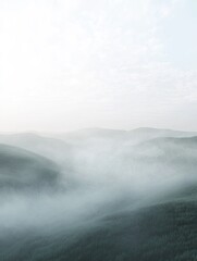 Obraz premium Ethereal forest landscape with low-lying fog covering the rolling hills