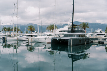 Gray catamaran stands at the pier with green palm trees in a row with white motor yachts
