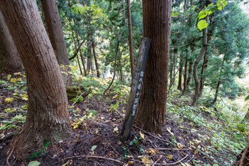 Historic old road “Salt Road” which is also a long distance hiking course and its surroundings