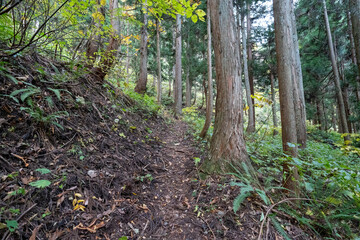 Historic old road “Salt Road” which is also a long distance hiking course and its surroundings