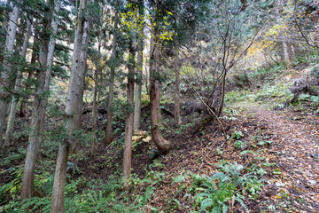 Historic old road “Salt Road” which is also a long distance hiking course and its surroundings