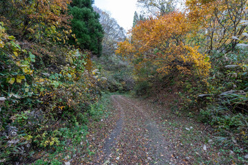 Obraz premium Historic old road “Salt Road” which is also a long distance hiking course and its surroundings
