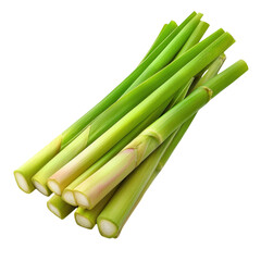 Obraz premium Vibrant herbal ingredients for botanical hair care branding. Fresh, green lemongrass stalks with a vibrant color and smooth texture perfect for revitalizing scalp care essence