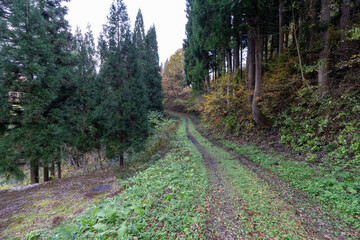 Fototapeta premium Historic old road “Salt Road” which is also a long distance hiking course and its surroundings