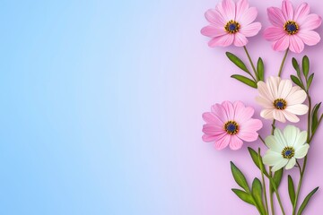 Fototapeta premium Pastel Pink and White Flowers Arrangement on Gradient Background