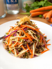 Home made coleslaw with sprouted lentils and carrots.