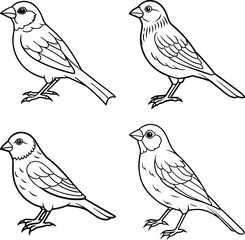 birds on a branch