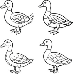 set of ducks