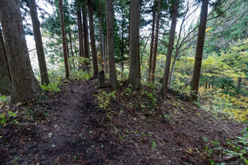 Historic old road “Salt Road” which is also a long distance hiking course and its surroundings