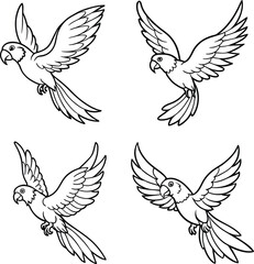 set of vector birds