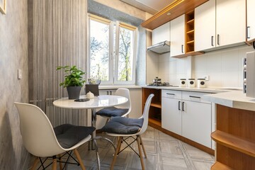Cozy Modern Kitchen with White Cabinets and Plants