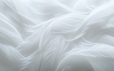 Obraz premium Delicate Layered White Feathers Creating an Ethereal Flowing Pattern