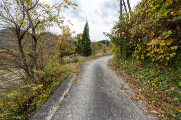 Fototapeta premium Historic old road “Salt Road” which is also a long distance hiking course and its surroundings