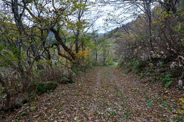 Historic old road “Salt Road” which is also a long distance hiking course and its surroundings