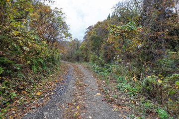 Historic old road “Salt Road” which is also a long distance hiking course and its surroundings