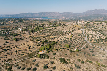 Olive groves on the slopes of the mountains on the seashore. Greece. Drone