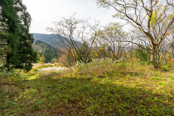 Historic old road “Salt Road” which is also a long distance hiking course and its surroundings