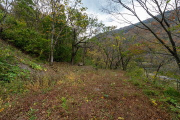 Historic old road “Salt Road” which is also a long distance hiking course and its surroundings