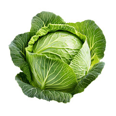 Fototapeta premium A whole fresh cabbage isolated on a white background, highlighting its crisp green leaves and natural texture.
