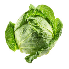 Fototapeta premium A whole fresh cabbage isolated on a white background, highlighting its crisp green leaves and natural texture.