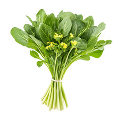 A fresh bunch of Chinese kale with vibrant green leaves and small yellow flowers, isolated on white.