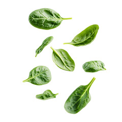 Fototapeta premium Fresh spinach leaves, vibrant green and rich in nutrients, perfect for salads or cooking.