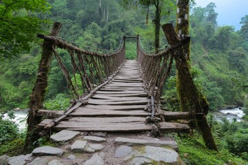 A jungle suspension bridge made of vines and wooden planks stretching across a deep ravine