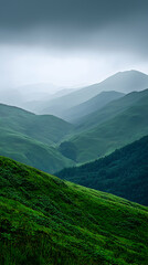 Fototapeta premium Rolling Green Hills Under an Overcast Sky