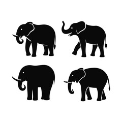 Fototapeta premium set of elephant icons of silhouette black illustration isolated on a transparent background