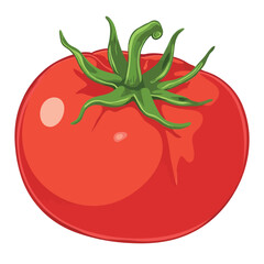 Red Tomato clip art cartoon style vector illustration