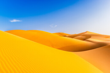 Amazing sand dunes in Liwa desert