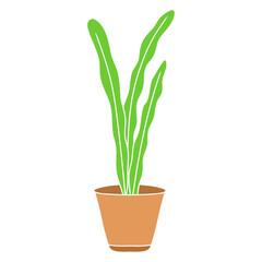 green plant in a pot