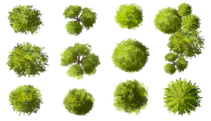 Vector watercolor green tree or forest top view isolated on white background for landscape plan and architecture drawing,plant for environment or garden,botanical element for exterior layout © pimchanok