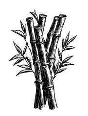 Fototapeta premium Bamboo stalks with leaves arranged artistically in a natural setting