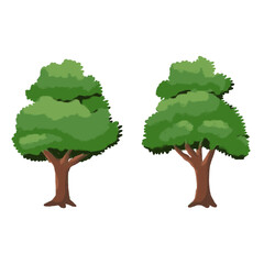 illustration of a tree cartoon style