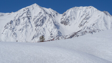 スキー場と北アルプス遠景　長野県白馬村