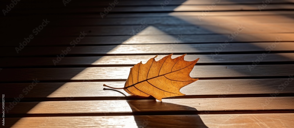 Leinwandbilder autumn leaf rests on wooden floorboards with late day shadows creating sharp lines and warm hues for