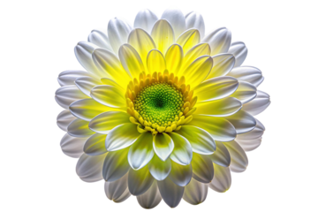 neon white, yellow trippy flower on transparent background