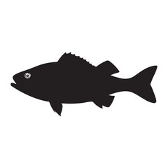 Fish Vector 