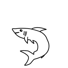 Shark Outline Vector 